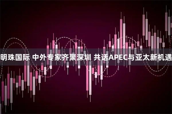 明珠国际 中外专家齐聚深圳 共话APEC与亚太新机遇